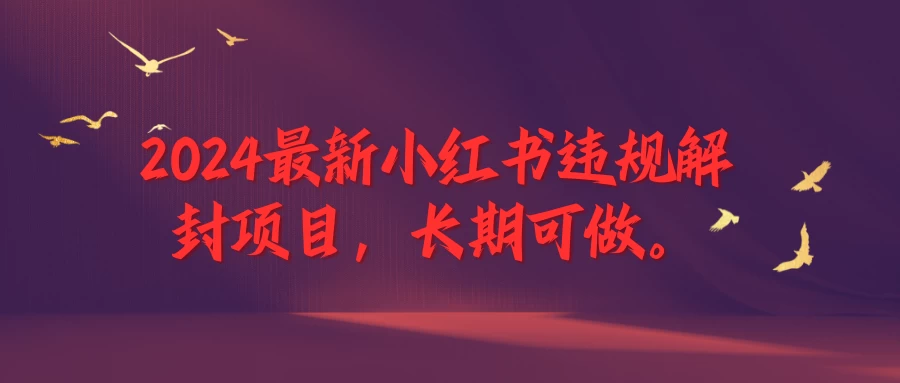 2024最新小红书违规解封项目，一个可以做到退休的项目-资源项目网