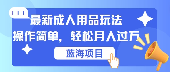 最新成人用品项目玩法，操作简单，蓝海项目轻松月入过万-资源项目网