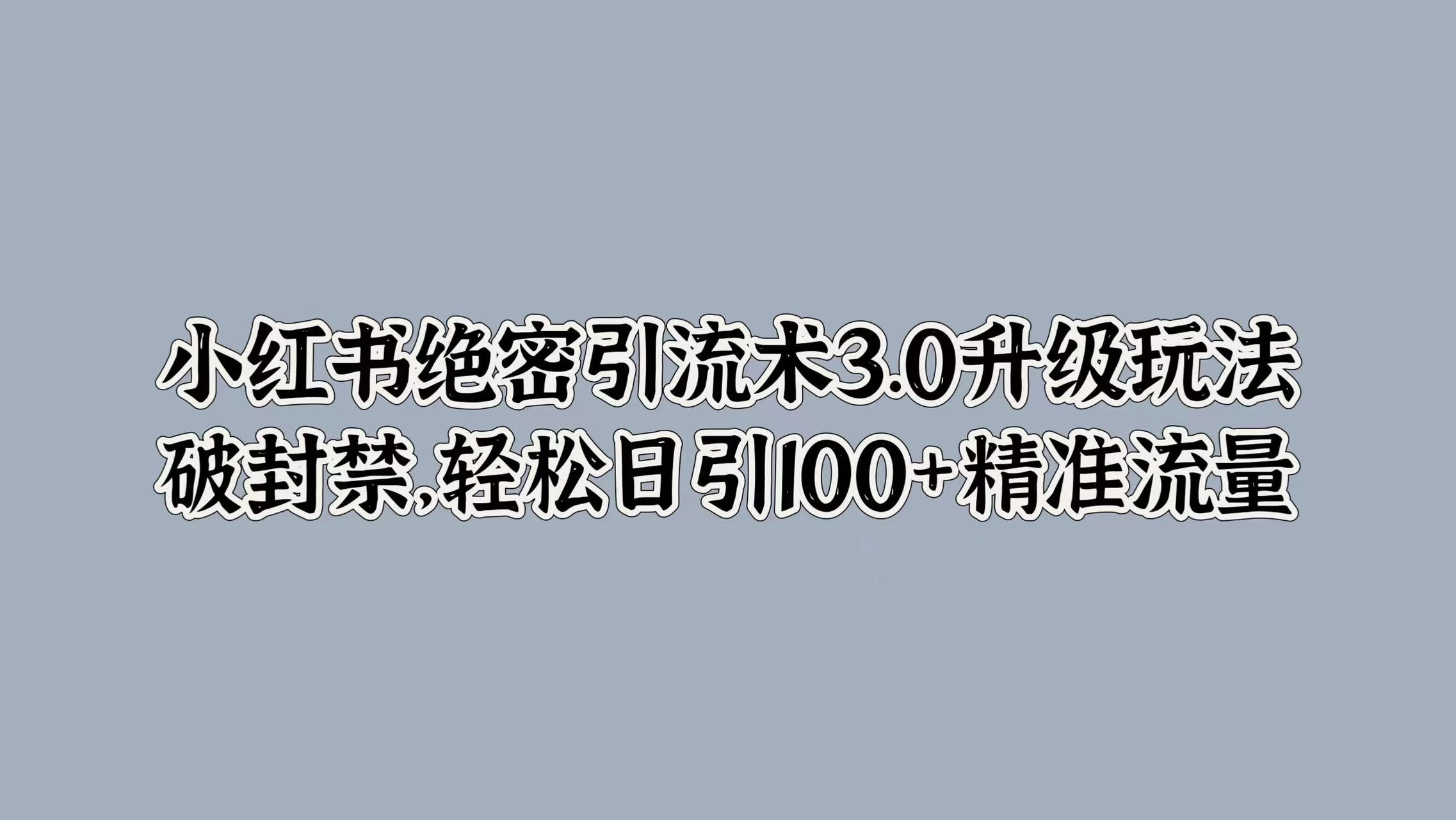 小红书绝密引流术3.0升级玩法，破封禁，轻松日引100+精准流量-资源项目网