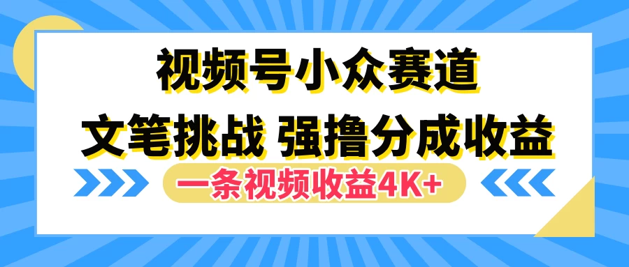 视频号小众赛道，文笔挑战，一条视频收益4K+-资源项目网