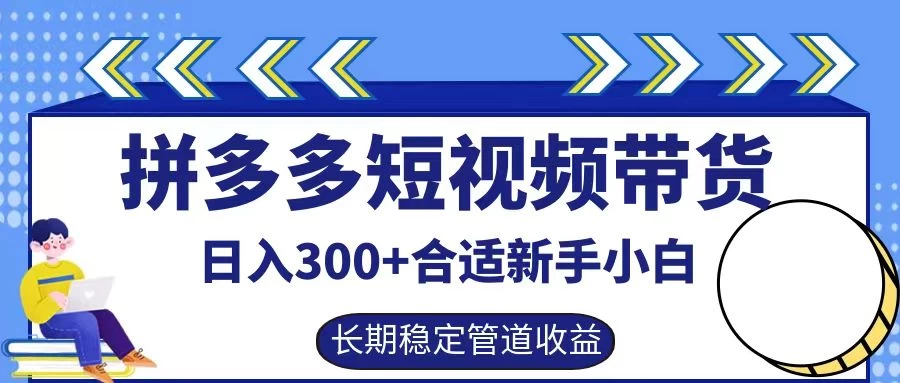 拼多多短视频带货日入300+保姆级实操账户展示-资源项目网