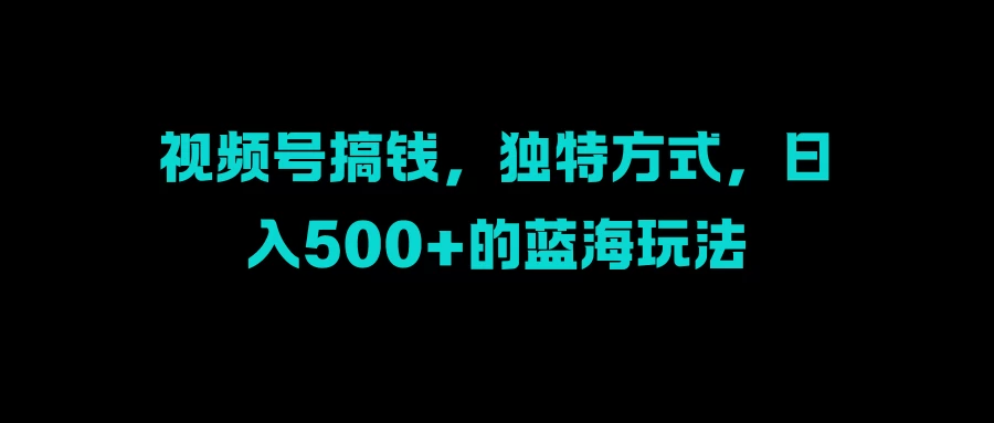 视频号搞钱，独特方式，日入500+的蓝海玩法-资源项目网