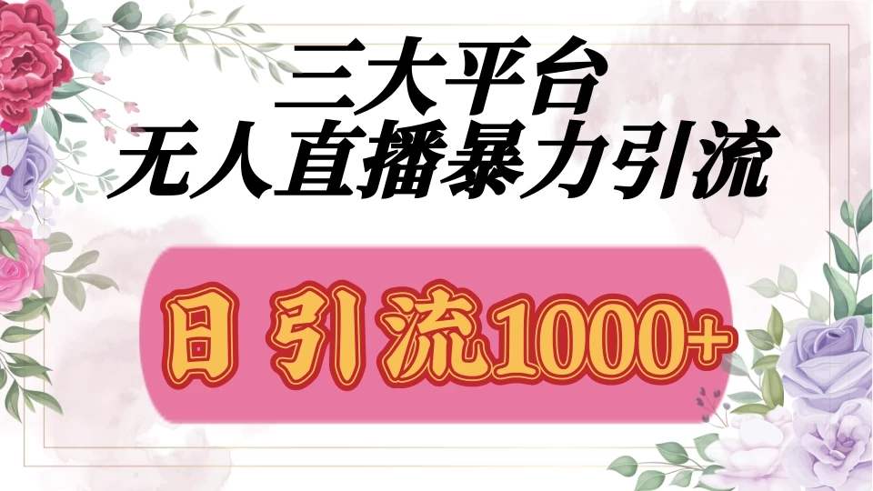 三大平台无人直播引流法，日引流1000+-资源项目网