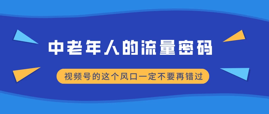 中老年人的流量密码，视频号的这个风口一定不要再错过，小白轻松月入过万-资源项目网