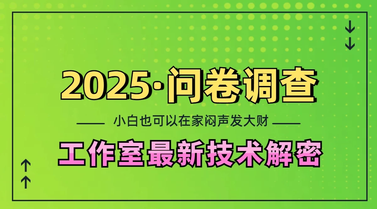 2025《问卷调查》最新工作室技术解密：一个人在家也可以闷声发大财，小白一天200+，可矩阵放大-资源项目网