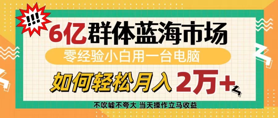 6亿群体蓝海市场，零经验小白用一台电脑，如何轻松月入2万+-资源项目网