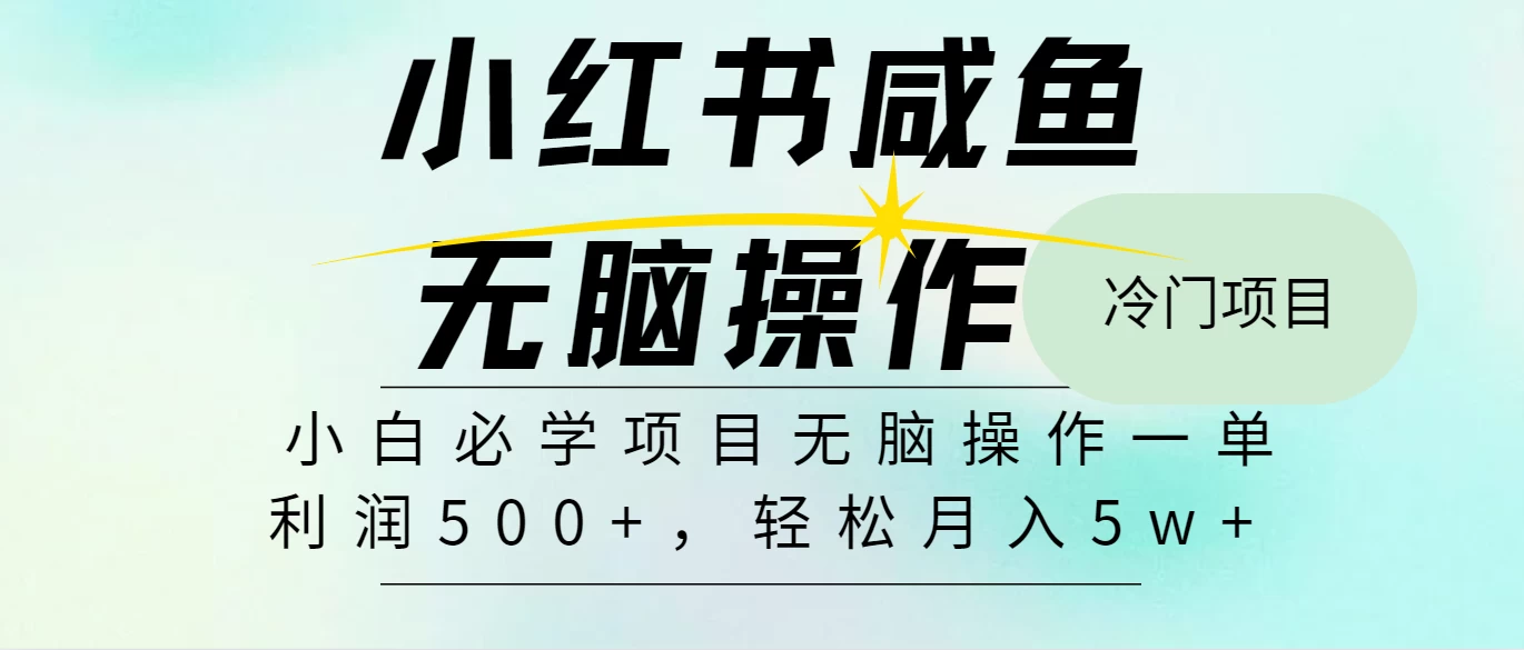 2025年爆款项目，抓住机会做第一批吃螃蟹的人！月入5w+-资源项目网