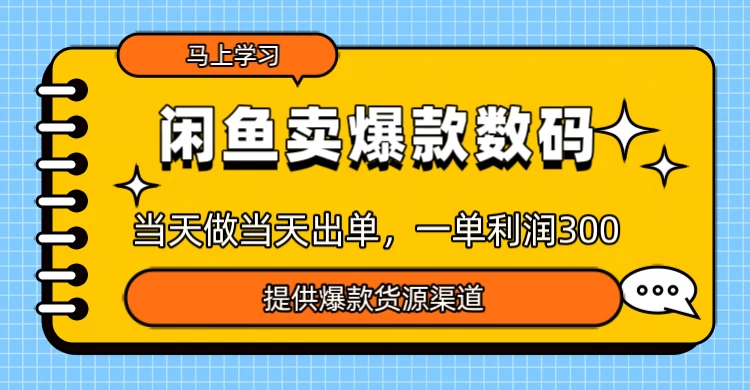 闲鱼卖爆款数码卖爆款数码，当天做当天出单，一单300＋-资源项目网