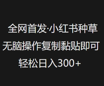 全网首发 小红书种草无脑操作复制黏贴即可 轻松日入300+-资源项目网