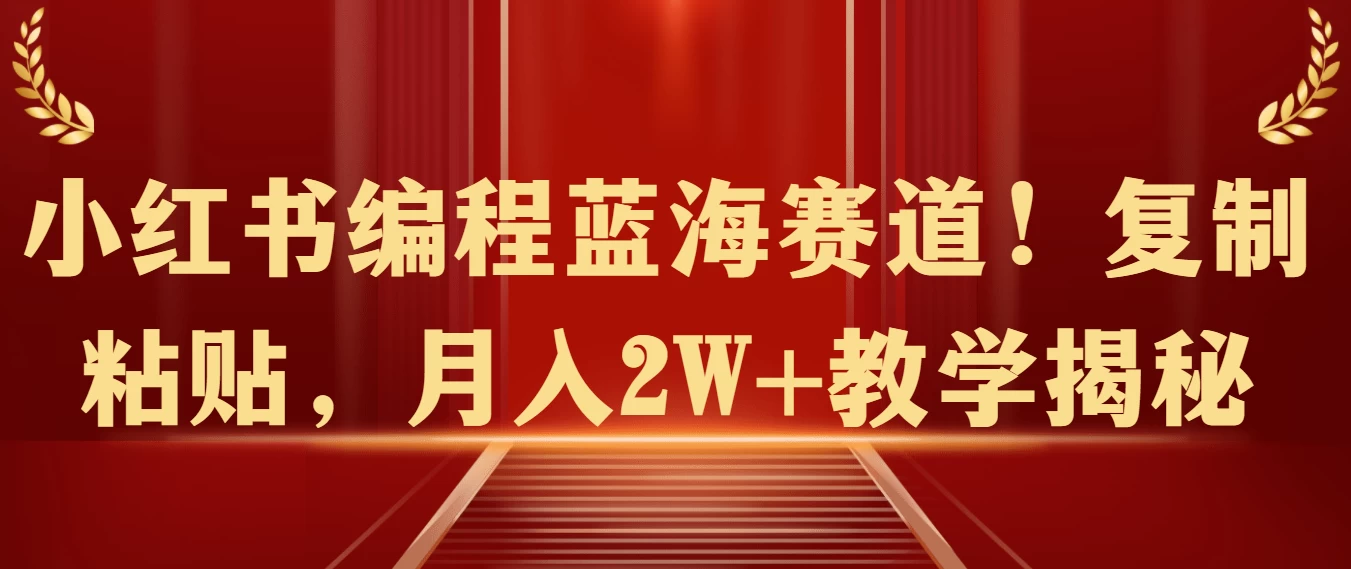 小红书编程蓝海赛道，轻松复制粘贴，月入两万+的神秘教学大揭秘！