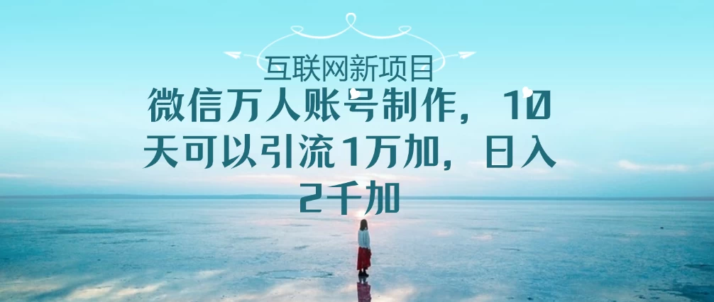 针对“微信万人账号，高效引流计划，十天收获粉丝一万+，日进斗金两千+”