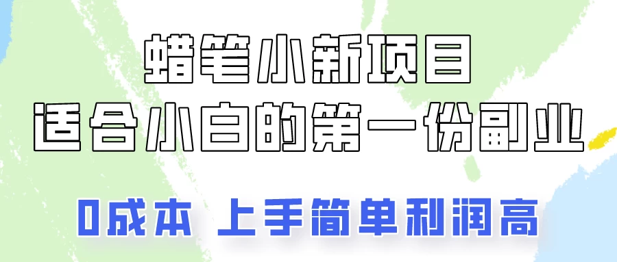 蜡笔小新项目深度解析：小白如何轻松月入3000+，你也可以！