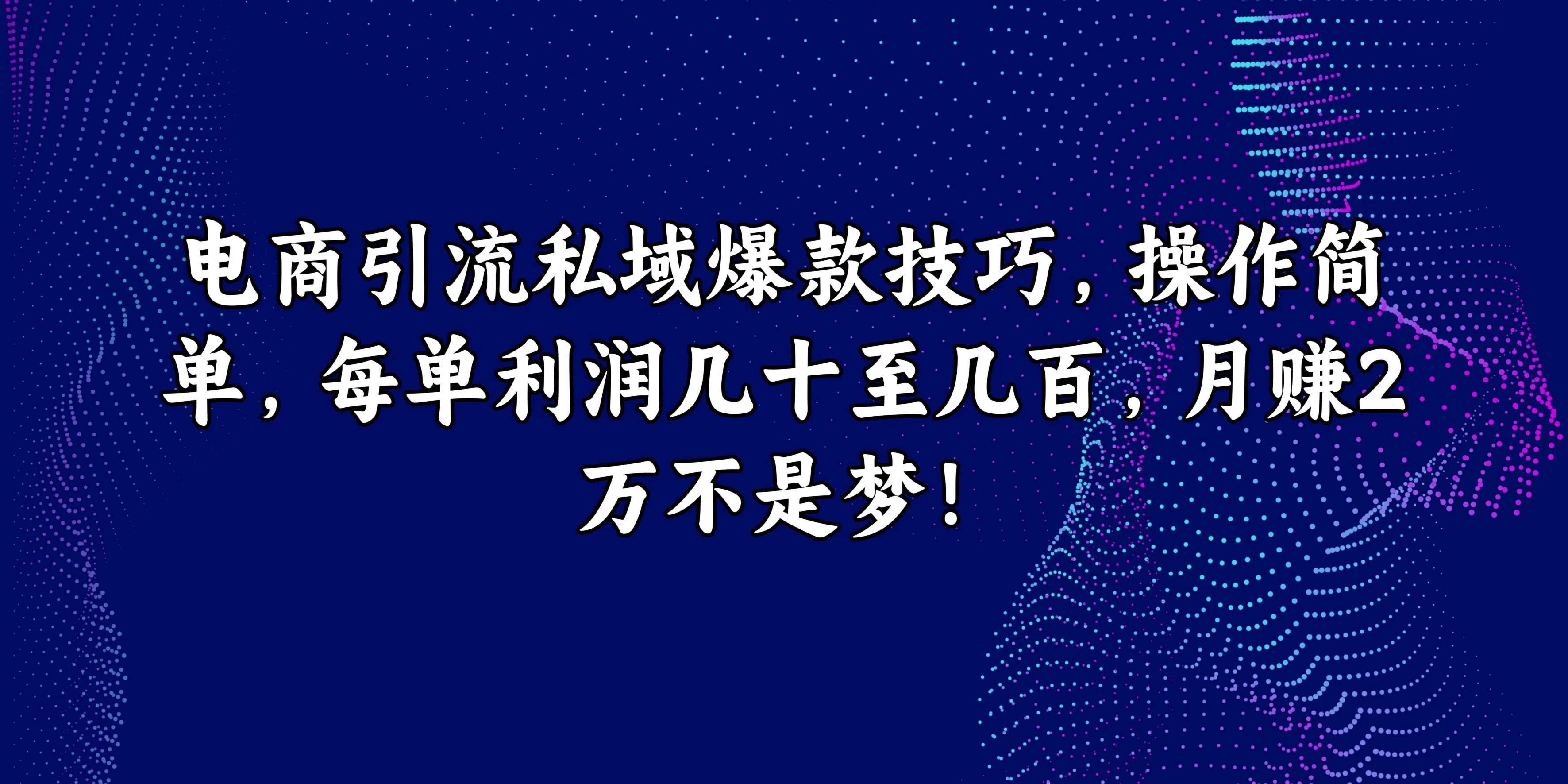 【轻松解锁电商引流秘诀，私域爆款玩转利润，每单轻松收益几十至几百，月入2万不再是梦！】