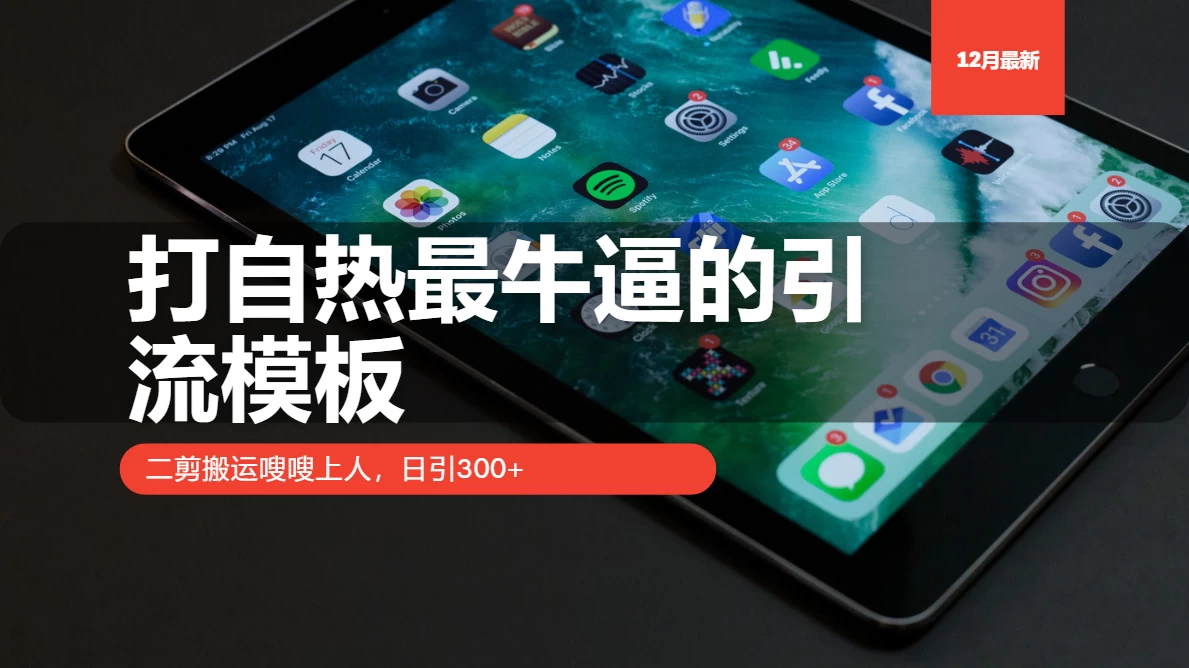 打自热最牛逼的引流模板，二剪搬运嗖嗖上人，日引300+-资源项目网