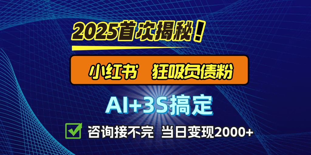 引流天花板：最新小红书狂吸负债粉思路，咨询接不断，日入2000+-资源项目网