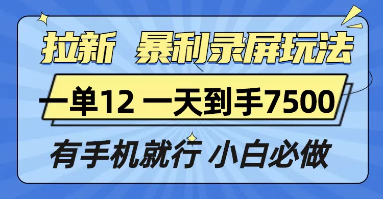 拉新暴利录屏玩法，一单12块，一天到手7500，有手机就行-资源项目网