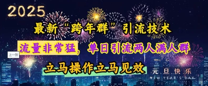 “跨年群”引流，流量非常猛，单日引流两人满人群，立马操作立马见效【揭秘】-资源项目网