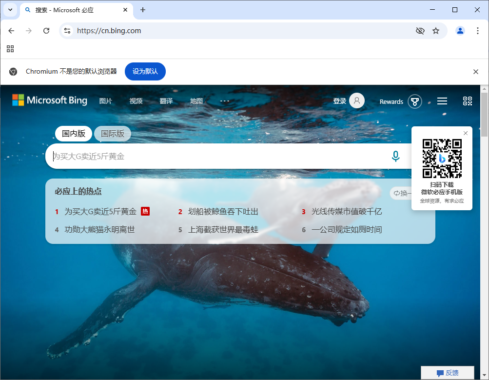 Ungoogled-Chromium v133.0.6943.98-1.1 中文绿色版-资源项目网