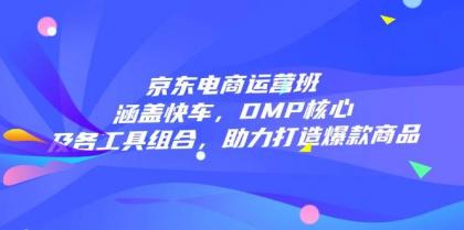 京东电商运营班：涵盖快车，DMP核心及各工具组合，助力打造爆款商品-资源项目网