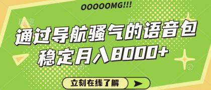 骚气的导航语音包，自用的同时还可以作为项目操作，月入8000+-资源项目网