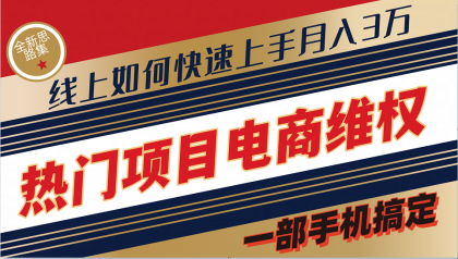 普通消费者如何通过维权保护自己的合法权益线上快速出单实测轻松月入3w+-资源项目网