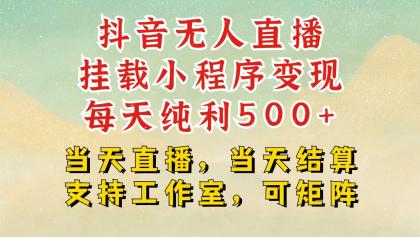 抖音无人挂机项目，轻松日入500+,挂载小程序玩法，不违规不封号，有号的一定挂起来-资源项目网