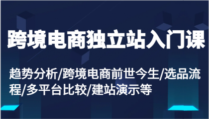 跨境电商独立站入门课：趋势分析跨境电商前世今生选品流程多平台比较建站演示等-资源项目网