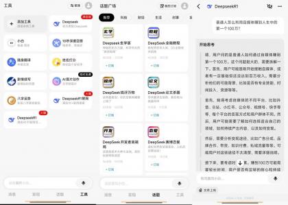 问小白-DeepSeek满血版无限制-资源项目网