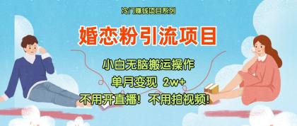 小红书婚恋粉引流，不用开直播！不用拍视频！不用做交付-资源项目网