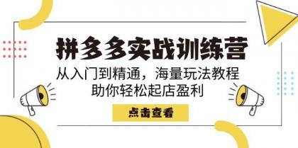 拼多多实战训练营，从入门到精通，海量玩法教程，助你轻松起店盈利-资源项目网