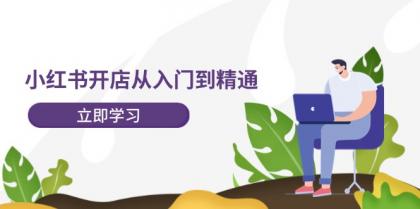 小红书开店从入门到精通，快速掌握小红书店铺运营，实现开店创收（202节）-资源项目网