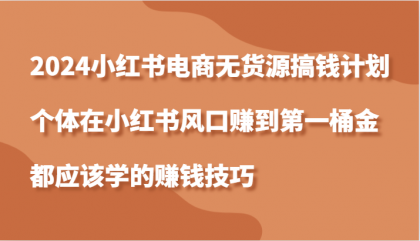 小红书电商无货源搞钱计划，个体在小红书风口赚到第一桶金应该学的赚钱技巧-资源项目网