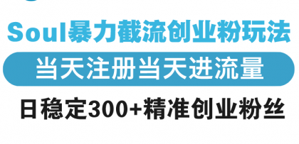 Soul暴力截流创业粉玩法，当天注册当天进流量，日稳定300+精准创业粉丝-资源项目网