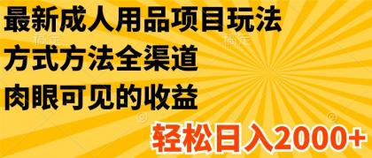 最新成人用品项目玩法，方式方法全渠道，肉眼可见的收益，轻松日入2000+-资源项目网