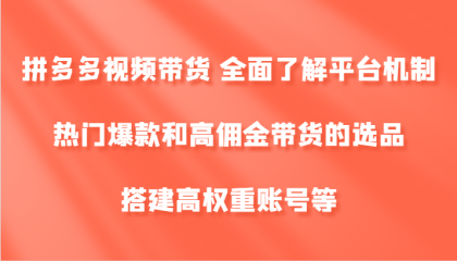 拼多多视频带货 全面了解平台机制、热门爆款和高佣金带货的选品，搭建高权重账号等-资源项目网