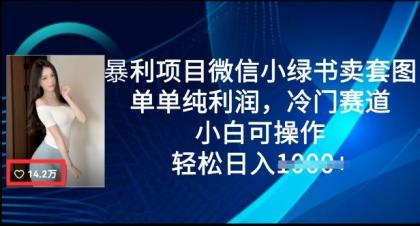 赚钱项目微信小绿书卖套图，仅仅净利润，小众跑道， 小白可实际操作，轻轻松松日入好几张-资源项目网