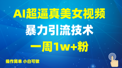 2025AI超真实美女丝袜暴力行为引流方法，一周1w 粉，使用方便小白可做，躺着赚钱视频收益-资源项目网