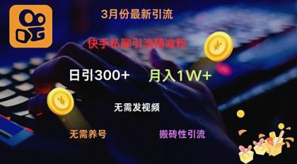 快手视频私信引流方法精准粉，当日奏效不用上传视频打金引流法日引300-资源项目网