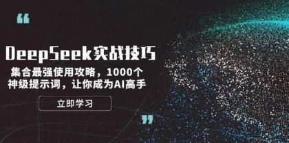 DeepSeek实战技巧：集合最强使用攻略，1000个神级提示词，让你成为AI高手-资源项目网