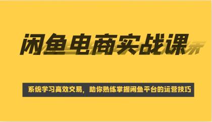 闲鱼电商实战课，系统学习高效交易，助你熟练掌握闲鱼平台的运营技巧-资源项目网