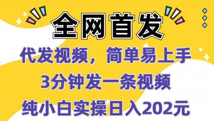 代发视频，简单易上手 3分钟发一条视频 纯小白实操日入202元-资源项目网