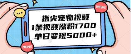 指尖宠物视频，1条视频涨粉1700，单日变现5000+-资源项目网